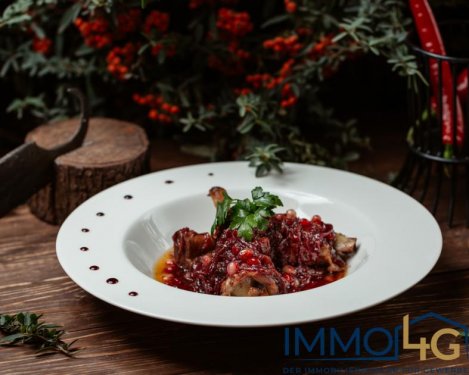 Berlin Gewerbe Villa Restaurant / Ausflugslokal im Grünen Zehlendorf mit Biergarten Gewerbe mieten