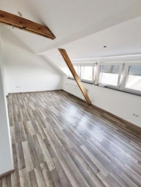 Trier Immobilien Biewer * charmante DG Whg. * 1 ZKB ca. 32 renov. m² * sofort! Wohnung mieten