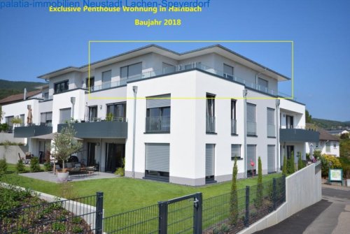 Neustadt an der Weinstraße Wohnungen Eine traumhafte, lichtdurchflutete Penthouse-Wohnung mitten in den Weinbergen. Wohnung mieten