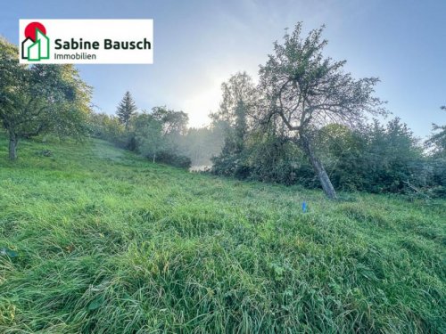 Remshalden Grundstück Dornrösschen Garten - Prinz gesucht! Grundstück mieten