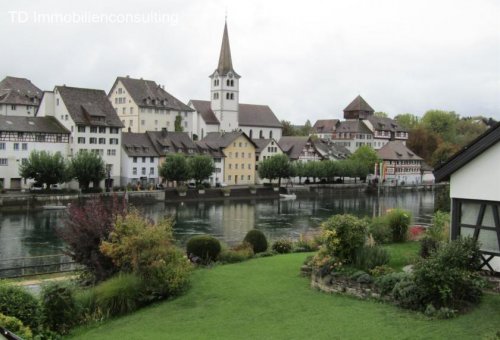 Gailingen am Hochrhein Immobilien **GRANDIOSER RHEINBLICK, mit sonniger 4 Zimmer- Balkonwohnung** Wohnung mieten