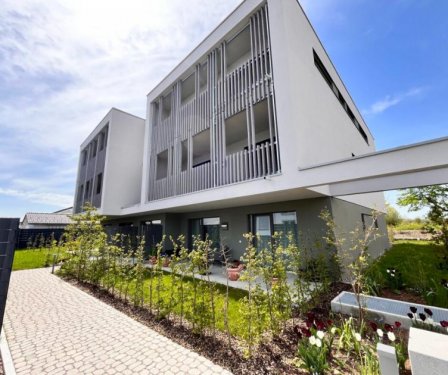 Leutkirch im Allgäu Wohnungen Hochwertige 2-Zi-Wohnung mit überdachter Terrasse in bester Lage von Leutkirch zu vermieten Wohnung mieten