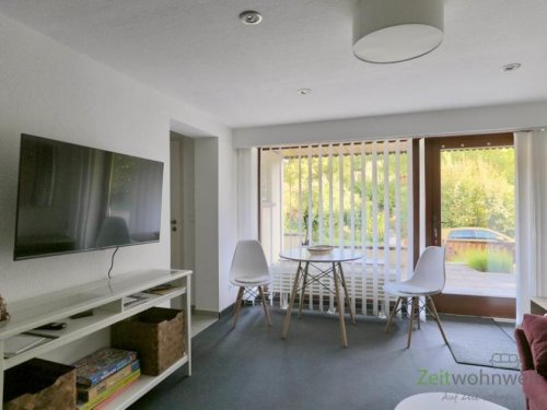 Erfurt Mietwohnungen (EF1315_M) Erfurt: Brühlervorstadt, kleines möbliertes 2-Zimmer-Apartment mit Terrasse, an Wochenendheimfahrer Wohnung mieten