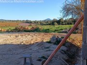 Vilafranca de Bonany Technik trifft Style - Finca 4 Schlafzimmer en Suite Haus 