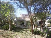 Maria de la Salut Langzeitvermietung Wundershoene Finca Langzeitmiete Pferdehaltung geeignet Haus 