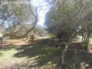 Maria de la Salut Langzeitvermietung Wundershoene Finca Langzeitmiete Pferdehaltung geeignet Haus 