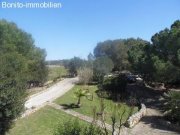 Maria de la Salut Langzeitvermietung Wundershoene Finca Langzeitmiete Pferdehaltung geeignet Haus 