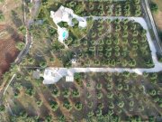 Stuttgart Ferienhaus - Italien-Apulien-Ostuni... wunderschöne Ferienhäuser auf einer Olivenplantage Haus 