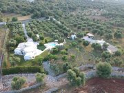 Stuttgart Ferienhaus - Italien-Apulien-Ostuni... wunderschöne Ferienhäuser auf einer Olivenplantage Haus 