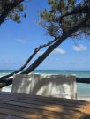 München Ferienhaus - Italien-Apulien-Ostuni... wunderschöne Ferienhäuser auf einer Olivenplantage Haus 