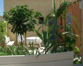 Gruissan Le Charme - Verkauf - Ferienhaus in Gruissan Haus 