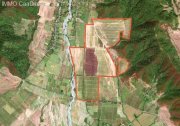 Apani Schöne Weinfabrik mit einem sehr gepflegtem Weinberg auf 237 Hektar Land in zauberhafter und romantischen Gegend Gewerbe kaufen