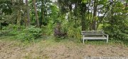 Langebrück Entwicklungspotenzial im Grünen – Großes Grundstück mit Einfamilienhaus Haus kaufen