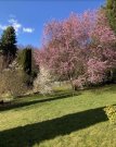 Zittau Bungalow am Stadtrand von Zittau in Eckartsberg Haus kaufen