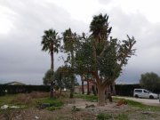 Daya Vieja Schön gelegene Villa mit 3 Schlafzimmern und 2 Bädern am Ortsrand von Daya Vieja Haus kaufen