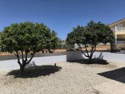 San Fulgencio Freistehende Villa mit 5 Schlafzimmern, 2 Bädern und Privatpool in La Escuera Haus kaufen