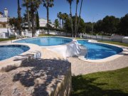 Villamartín Reihenhaus mit 2 Schlafzimmern, 1 Bad, Dachterrasse und Gemeinschaftspool Haus kaufen