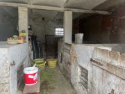 Finsterwalde Bauernhof mit landwirtschaftlicher Fläche Gewerbe kaufen