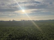 Doberlug-Kirchhain Einfamilienhaus in Alleinlage Haus kaufen