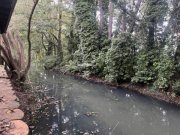 Doberlug-Kirchhain Villenartiges Einfamilienhaus mit Flair und viel Nebengelaß Haus kaufen
