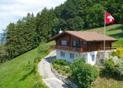 Walzenhausen HDA-Immo.eu: Chalet in der Schweiz, beste Aussicht, nur 15% Unternehemnssteuer Haus kaufen