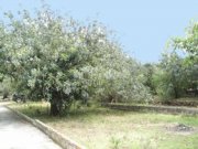 Denia Villen-Baugrundstück bei Denia zu verkaufen Grundstück kaufen