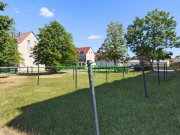 Grimma Attraktive Rendite trifft auf cleveren Grundriss! Wohnung kaufen