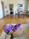 Naunhof Charmantes Wohnhaus im Herzen von Naunhof - mit Option auf 1210 qm Grundstück Haus kaufen