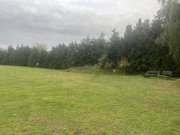 Mühlberg (Landkreis Elbe-Elster) Modernes Design trifft alten Charme Haus kaufen