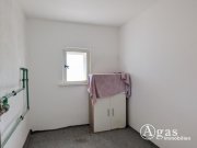 Schlieben Einfamilienhaus mit Nebengbäude und großem Garten Haus kaufen