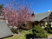 Schlieben Ihr neues Zuhause mit Geschichte, Pool und viel Platz zur Entfaltung Haus kaufen