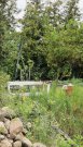 Riesdorf Einfamilienhaus im Grünen - sanierungsbedürftig, aber lohnenswert Haus kaufen