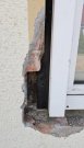 Oranienbaum Willkommen in einem Haus, das bereit ist für einen kompletten Neustart - und für Menschen, die genau das suchen. Haus kaufen