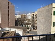 Palma de Mallorca Helle 5-Zimmer-Wohnung in der Nähe der Avenida Wohnung kaufen