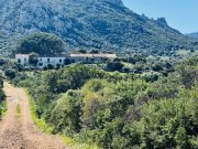 Aglientu Großes Haus mit 4 Appartements, 60 Hektar, Meerblick Haus kaufen