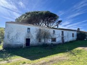 Aglientu Großes Haus mit 4 Appartements, 60 Hektar, Meerblick Haus kaufen