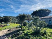 Aglientu Großes Haus mit 4 Appartements, 60 Hektar, Meerblick Haus kaufen