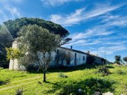Aglientu Großes Haus mit 4 Appartements, 60 Hektar, Meerblick Haus kaufen