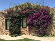 Luogosanto Landhaus mit Pool in herrlicher Landschaft in der Gallura Haus kaufen