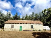 Luras Teilrestauriertes Stazzo mit 1 Hektar, 40 Hektar zusätzlich Haus kaufen