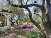 Olbia Wunderschönes Anwesen bei San Pantaleo Haus kaufen