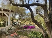Olbia Wunderschönes Anwesen bei San Pantaleo Haus kaufen
