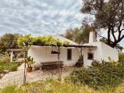 Olbia Wunderschönes Anwesen bei San Pantaleo Haus kaufen