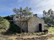Tempio Pausania Absolute Ruhe, 13 Hektar, 4000 Korkeichen Haus kaufen