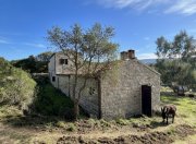 Tempio Pausania Absolute Ruhe, 13 Hektar, 4000 Korkeichen Haus kaufen