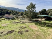 Tempio Pausania Absolute Ruhe, 13 Hektar, 4000 Korkeichen Haus kaufen