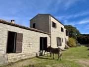Tempio Pausania Absolute Ruhe, 13 Hektar, 4000 Korkeichen Haus kaufen
