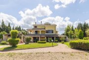 Olmedo Villa Santa Caterina - Olmedo Villa mit 3 abgeschlossenen Einheiten Haus kaufen