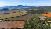 Sassari 90000 m² Weinberge, Olivenhain und Bauland! Grundstück kaufen
