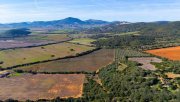 Sassari 90000 m² Weinberge, Olivenhain und Bauland! Grundstück kaufen